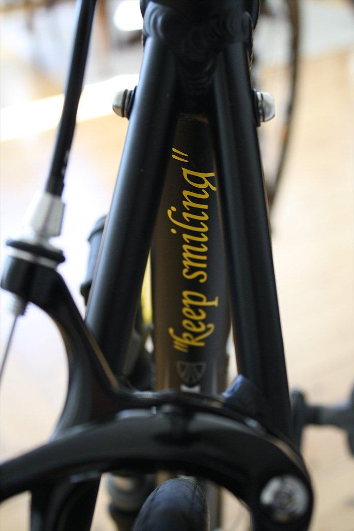 Trek 1.5 Alpha, 2011 - "keep smiling" billede 11
