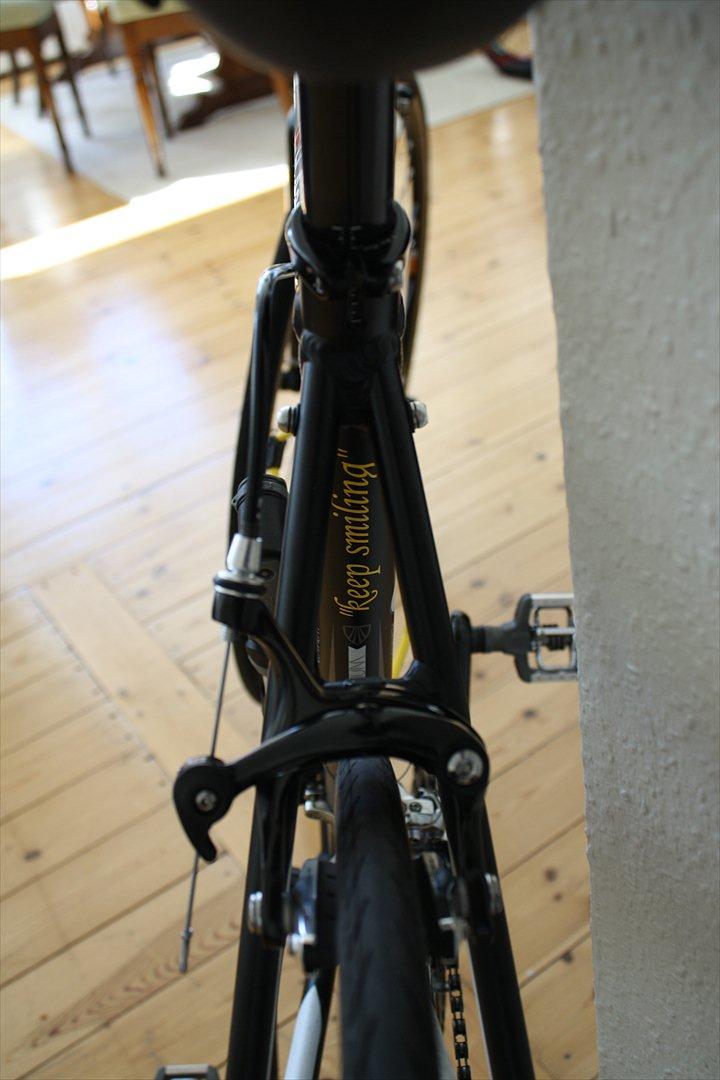 Trek 1.5 Alpha, 2011 - "keep smiling" billede 12