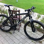 Principia MXCe´10