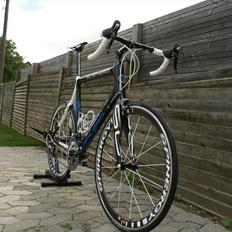 Storck Scenero