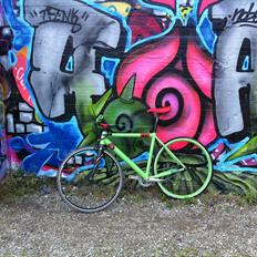 Principia RSL SINGLE SPEED