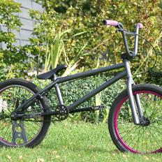 Verde Prism 2011 (Solgt)