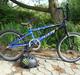 GT Power Series Pro 2010