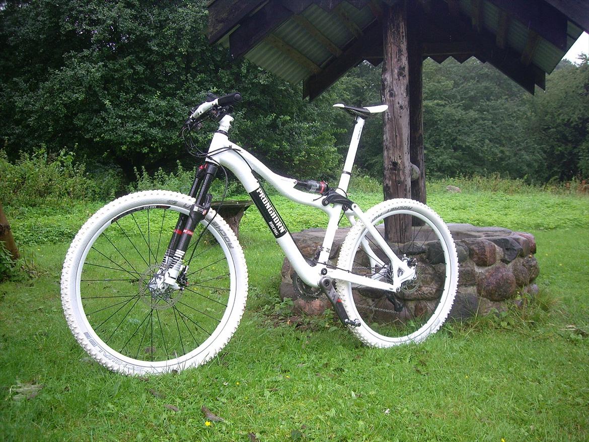 Pronghorn Racing PR6-XC Carbon - custom - R.I.P. billede 14