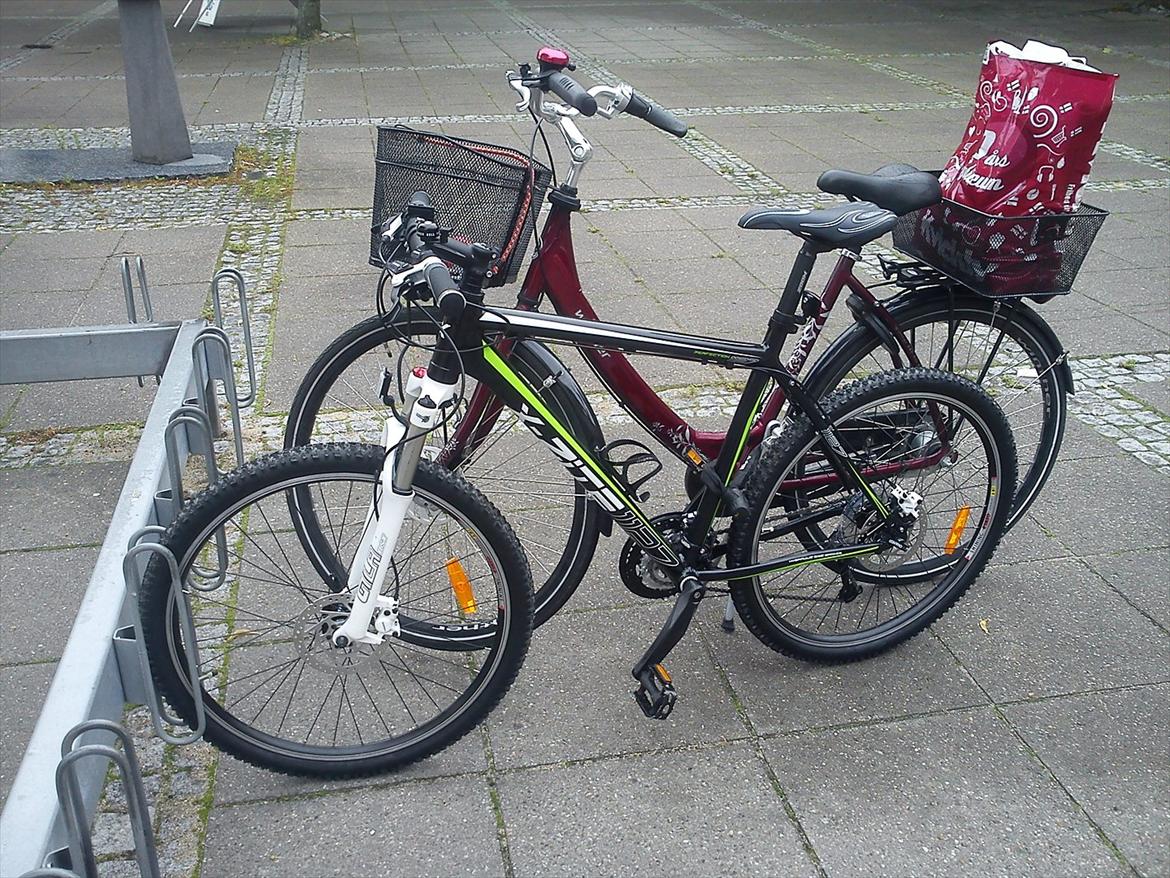 X-zite 1127 billede 2