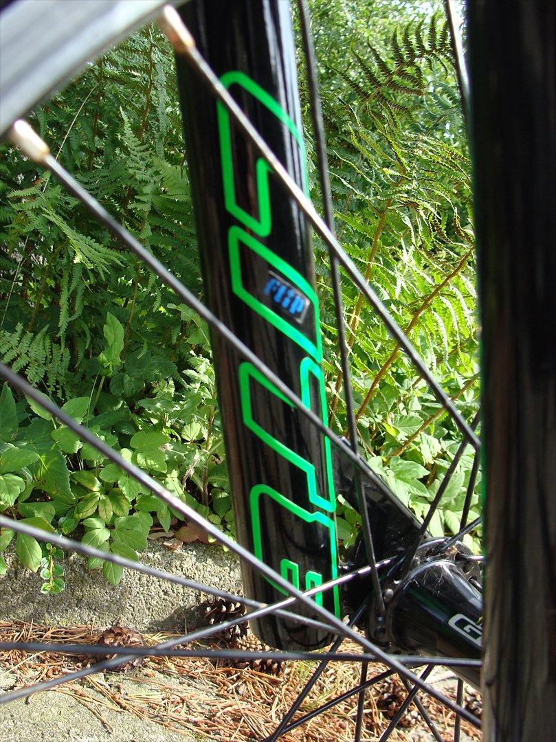 GT Power Series Pro 2010 billede 8