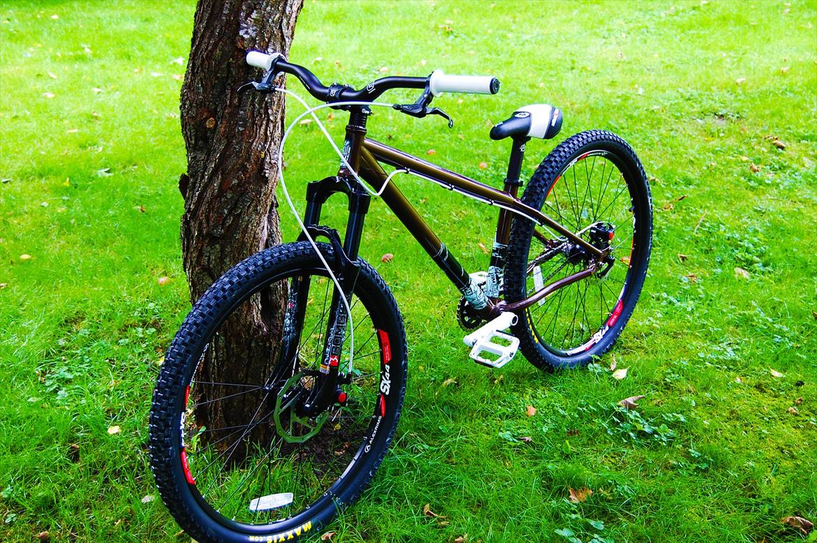 24 Bicycles Evil  The Faction ( Tidligere Cykel ) billede 2