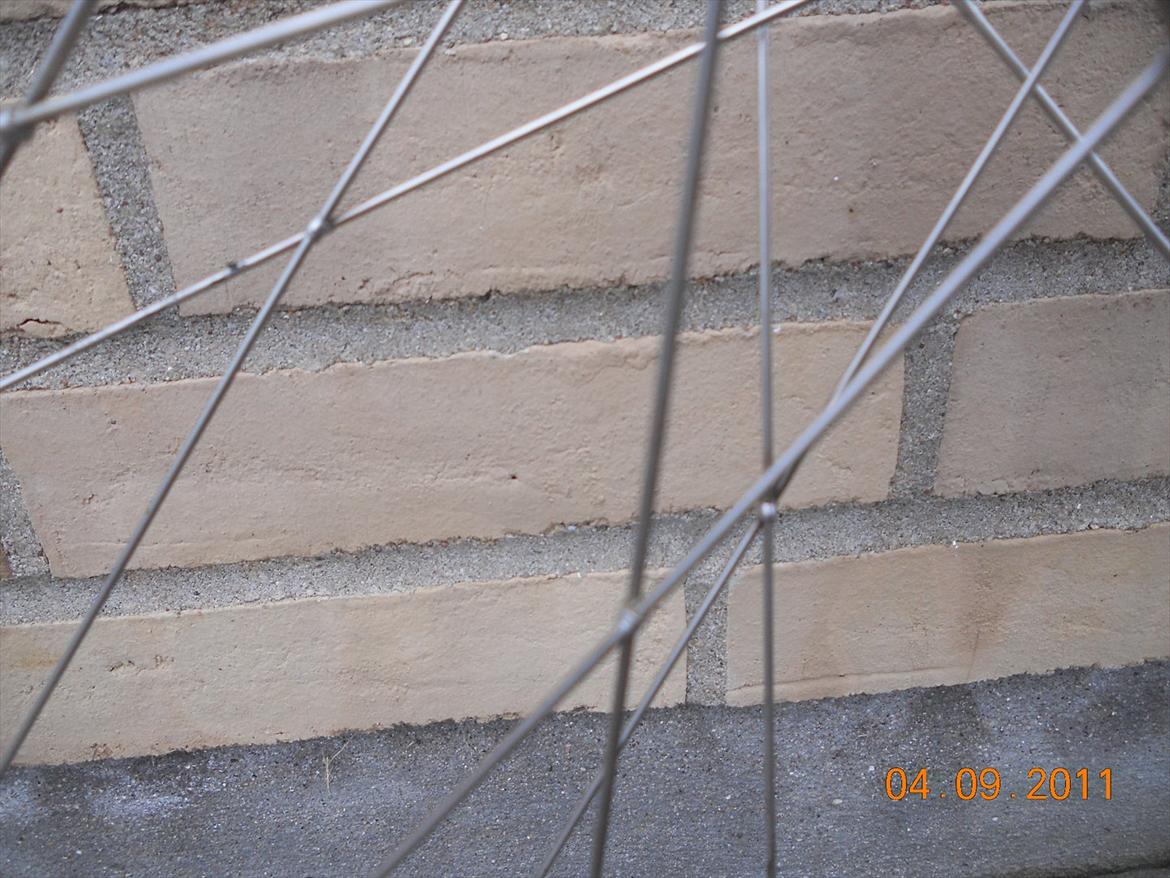 Vision Sprint TSG billede 4