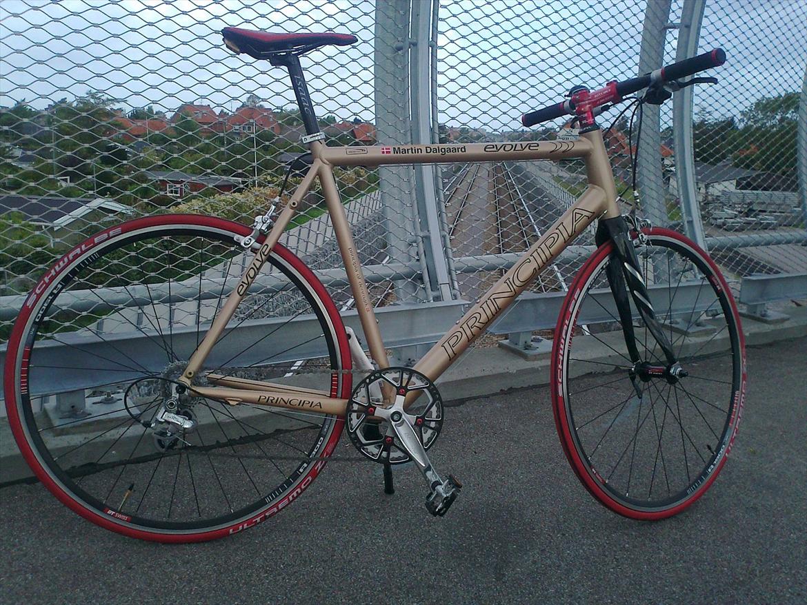 Principia Evolve Disk Gold billede 6