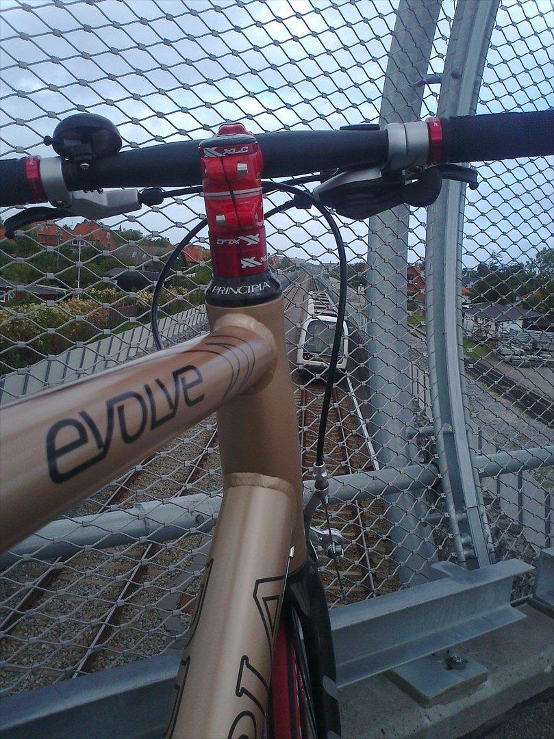 Principia Evolve Disk Gold billede 9