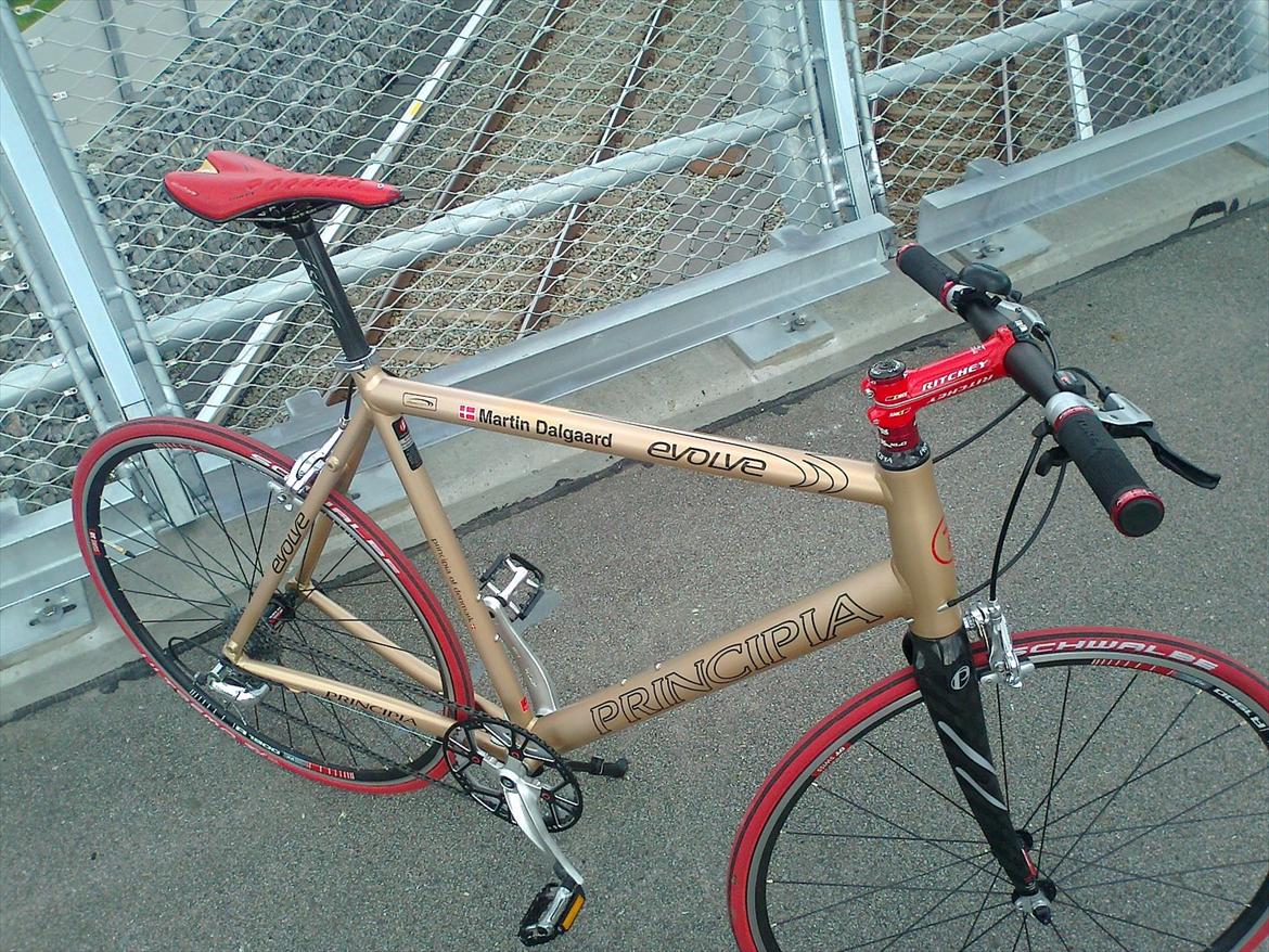 Principia Evolve Disk Gold billede 13