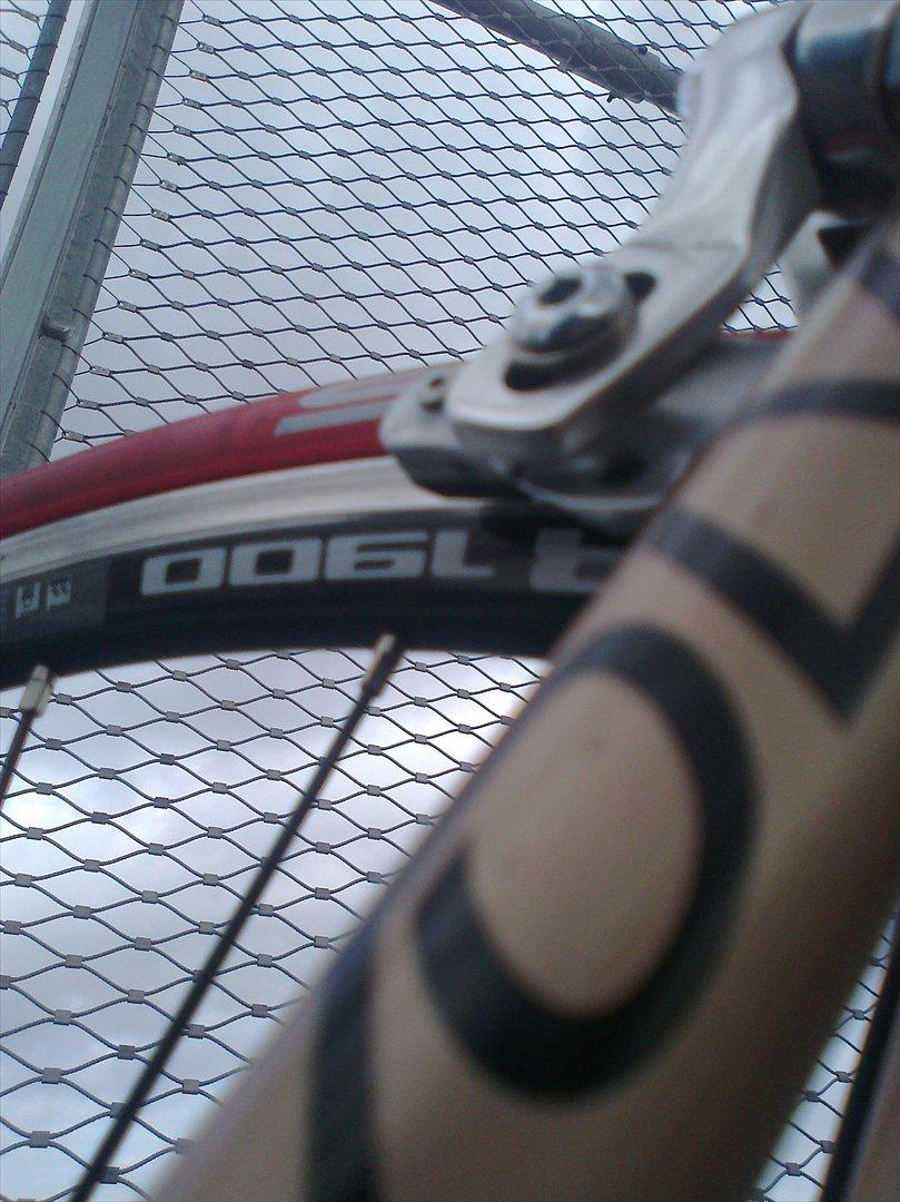 Principia Evolve Disk Gold billede 14