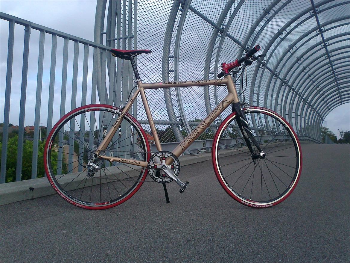 Principia Evolve Disk Gold billede 16