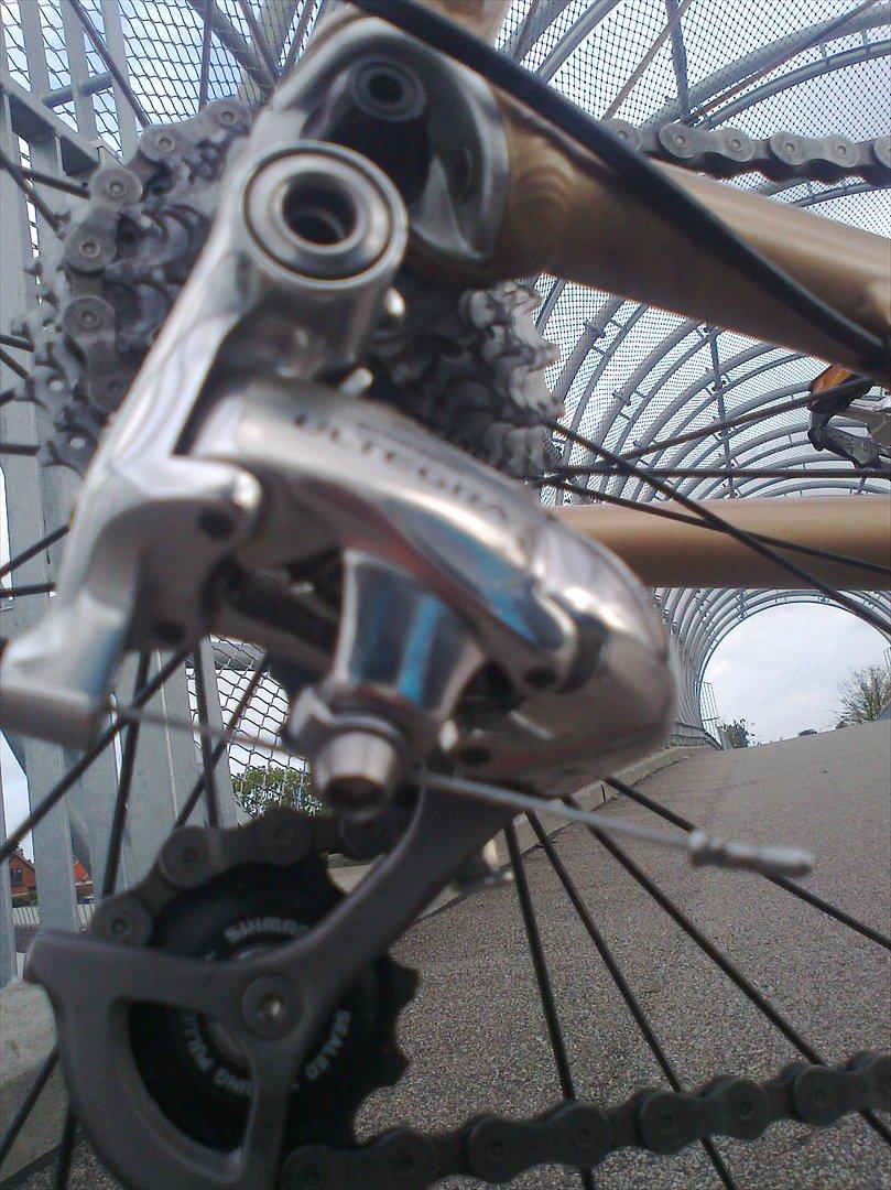 Principia Evolve Disk Gold billede 17