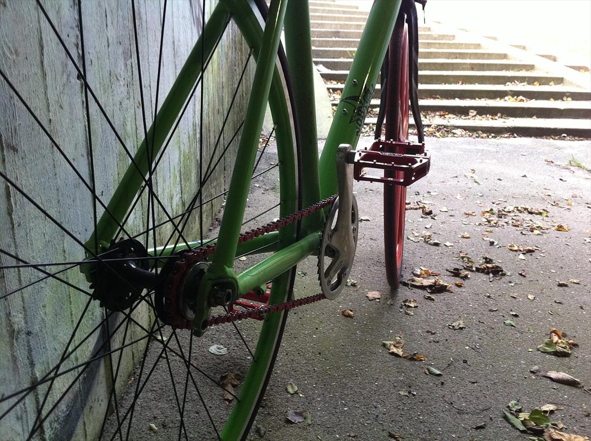 Principia RSL SINGLE SPEED billede 17