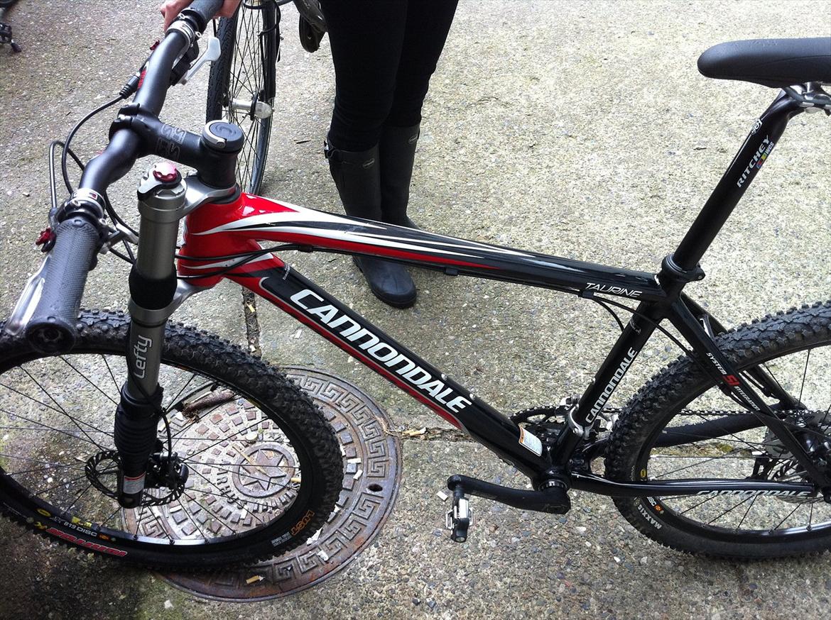 Cannondale Taurine billede 2