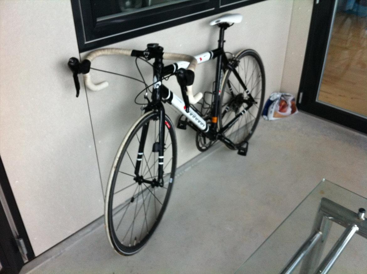 Carrara Volante Jubilee billede 3