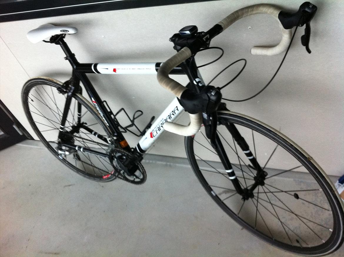 Carrara Volante Jubilee billede 8