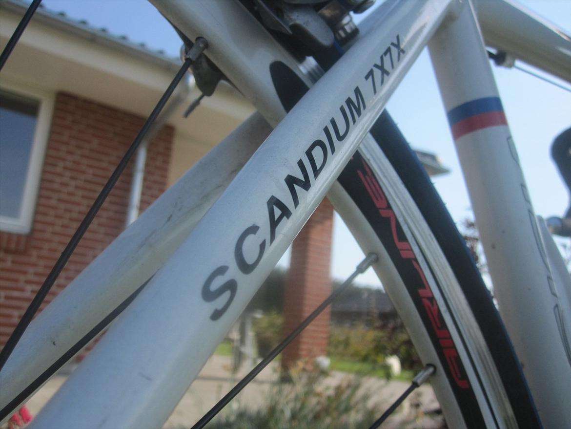 Vision Pro team Scandium 7x7x billede 18