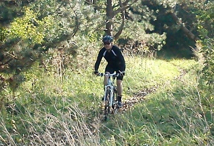 Bianchi Kuma 5300 billede 4