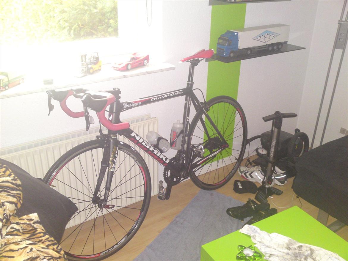Nishiki champion billede 8