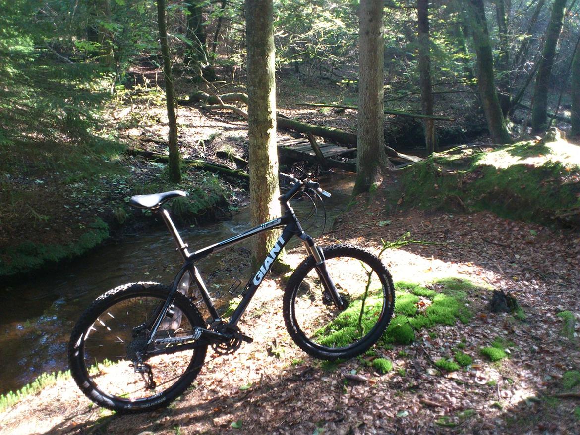 Giant Terrago - (tredje opgradering) billede 3