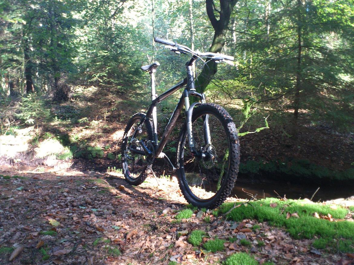 Giant Terrago - (tredje opgradering) billede 2