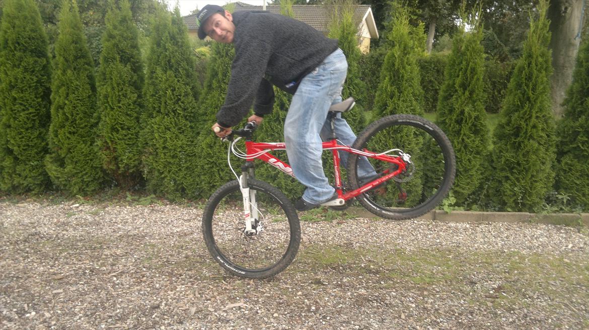 Univega HT510 - Nose stoppie billede 10