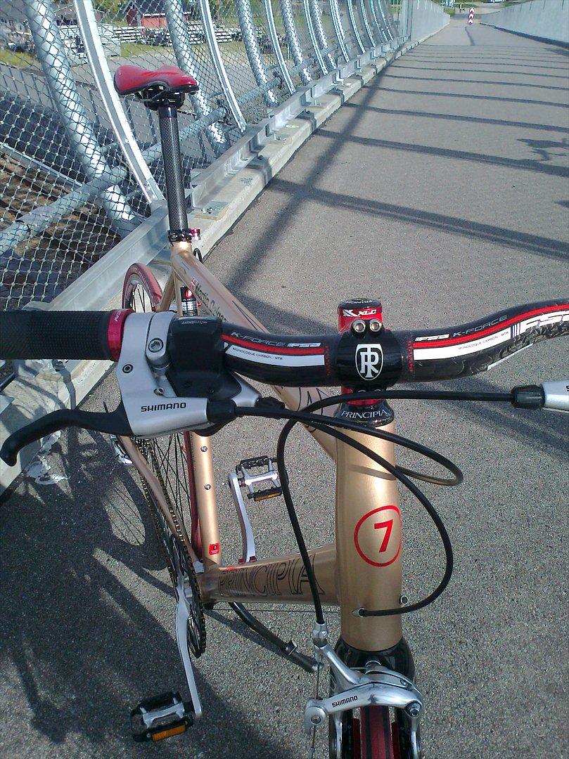 Principia Evolve Disk Gold billede 5