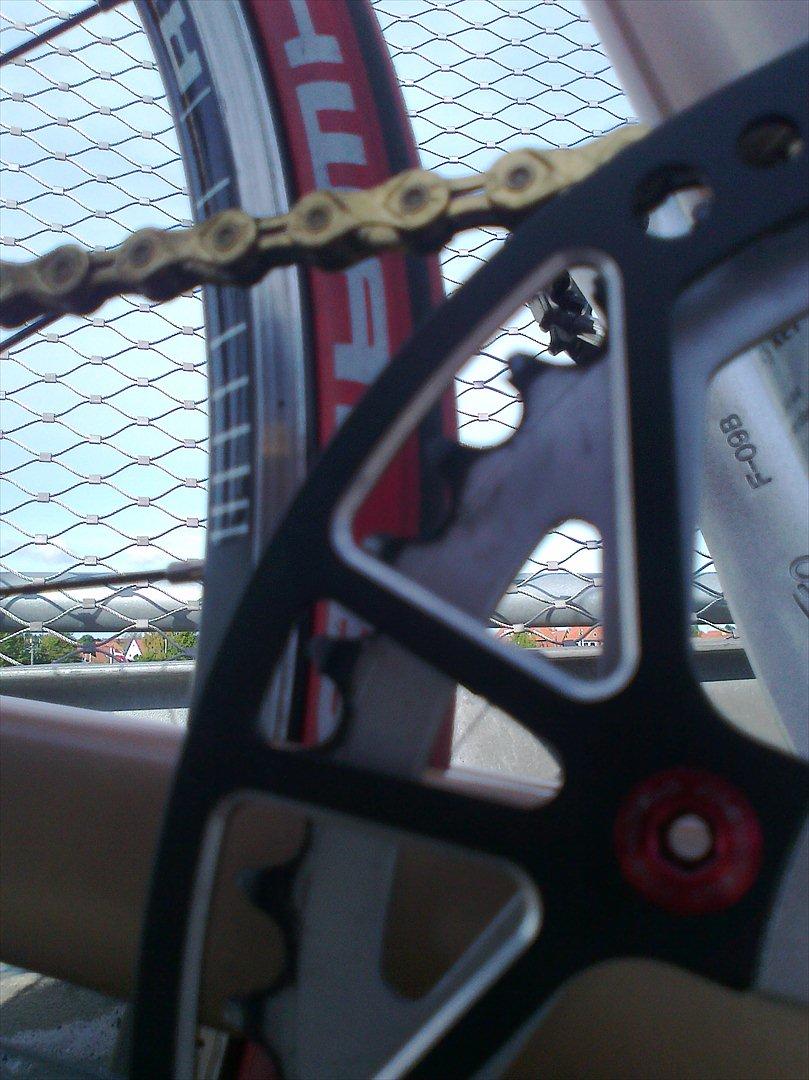 Principia Evolve Disk Gold billede 19