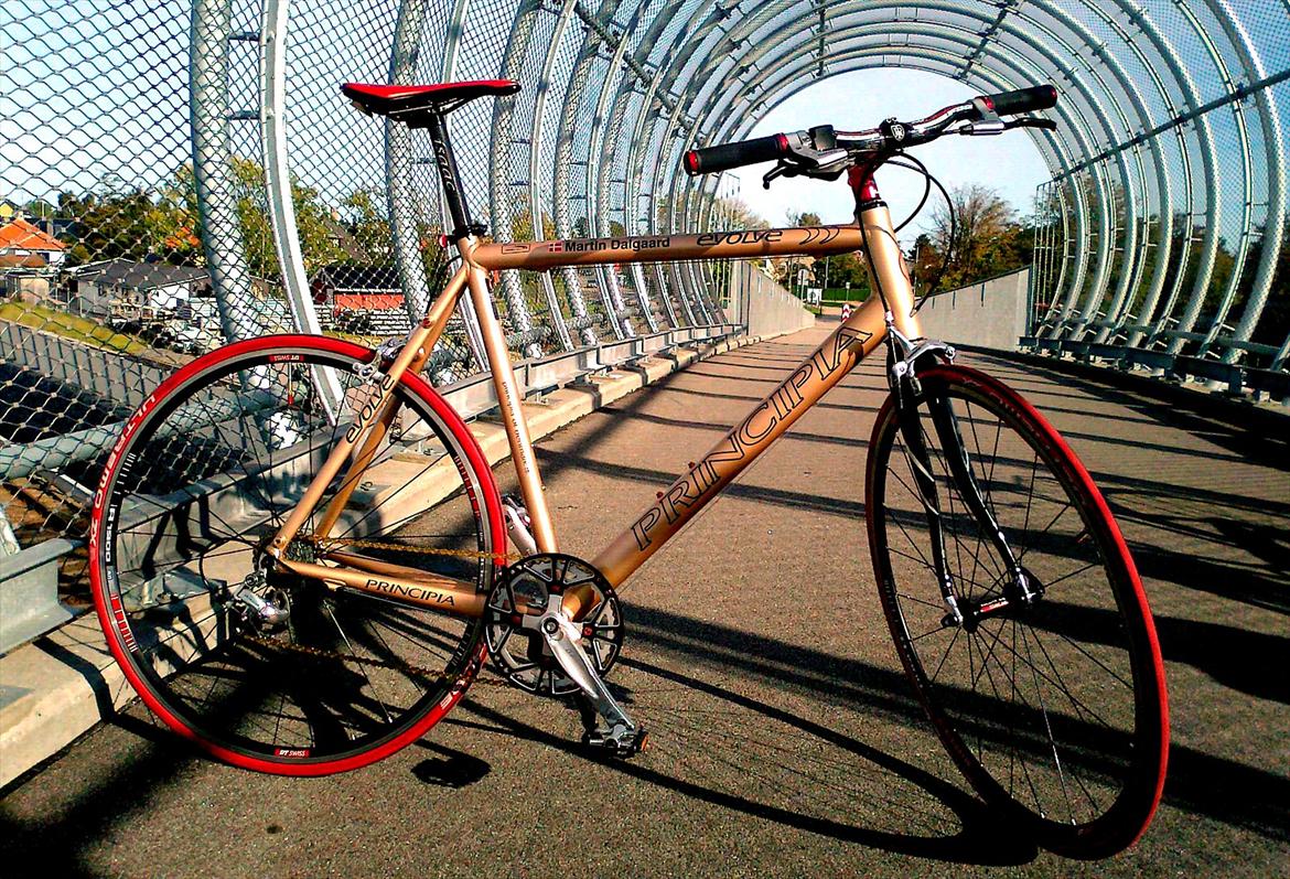 Principia Evolve Disk Gold billede 3