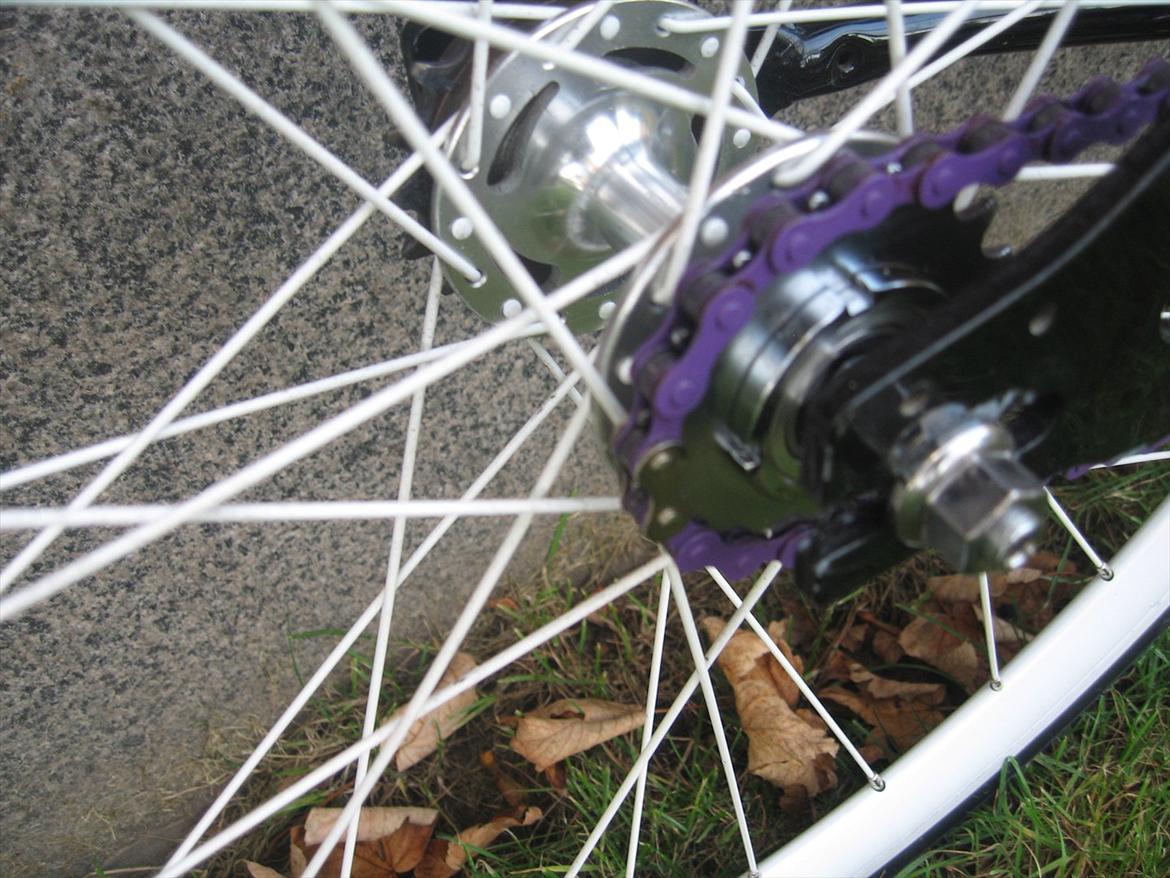 No-Name Singel speed / Fix billede 10