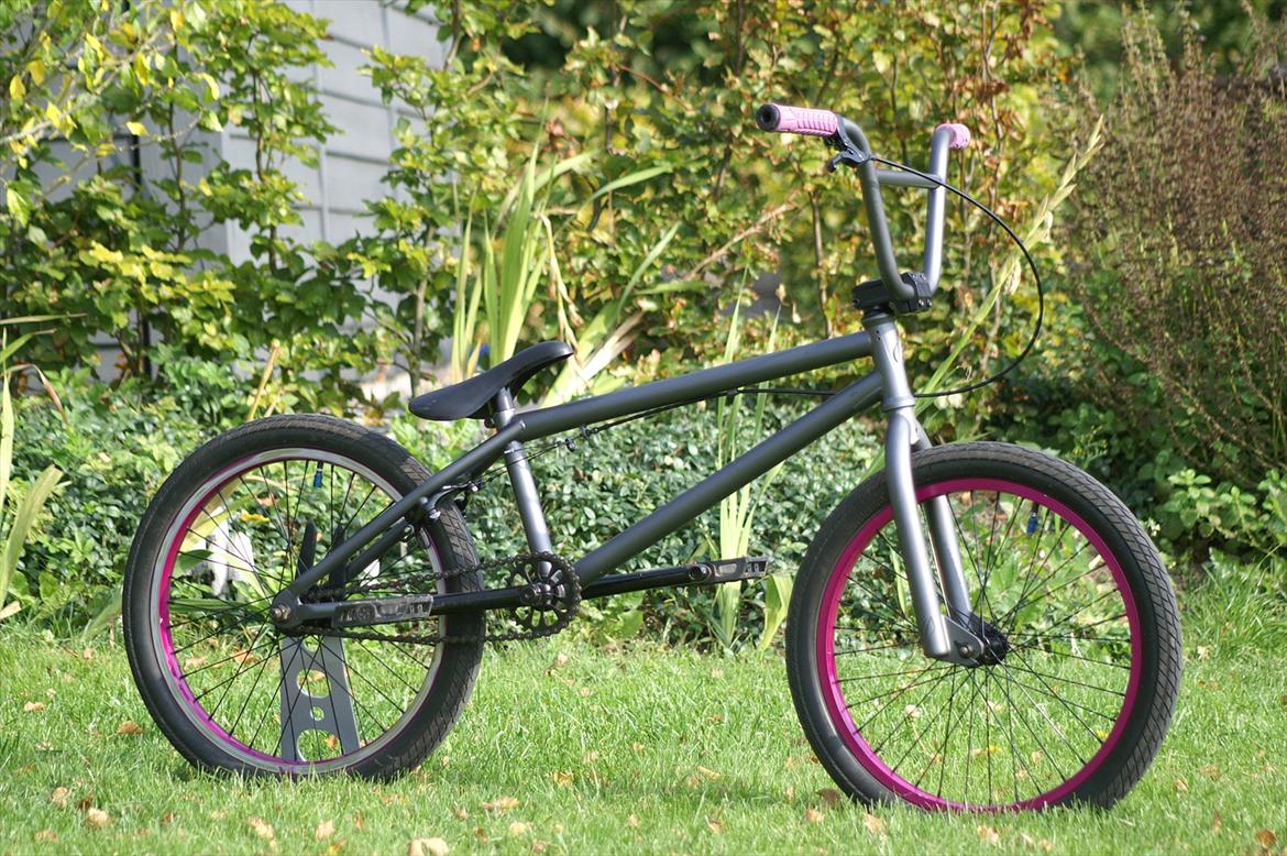 Verde Prism 2011 (Solgt) billede 1