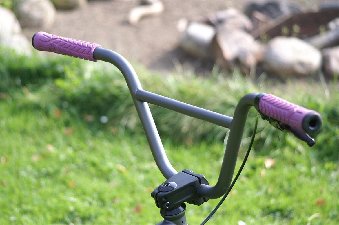 Verde Prism 2011 (Solgt) billede 9
