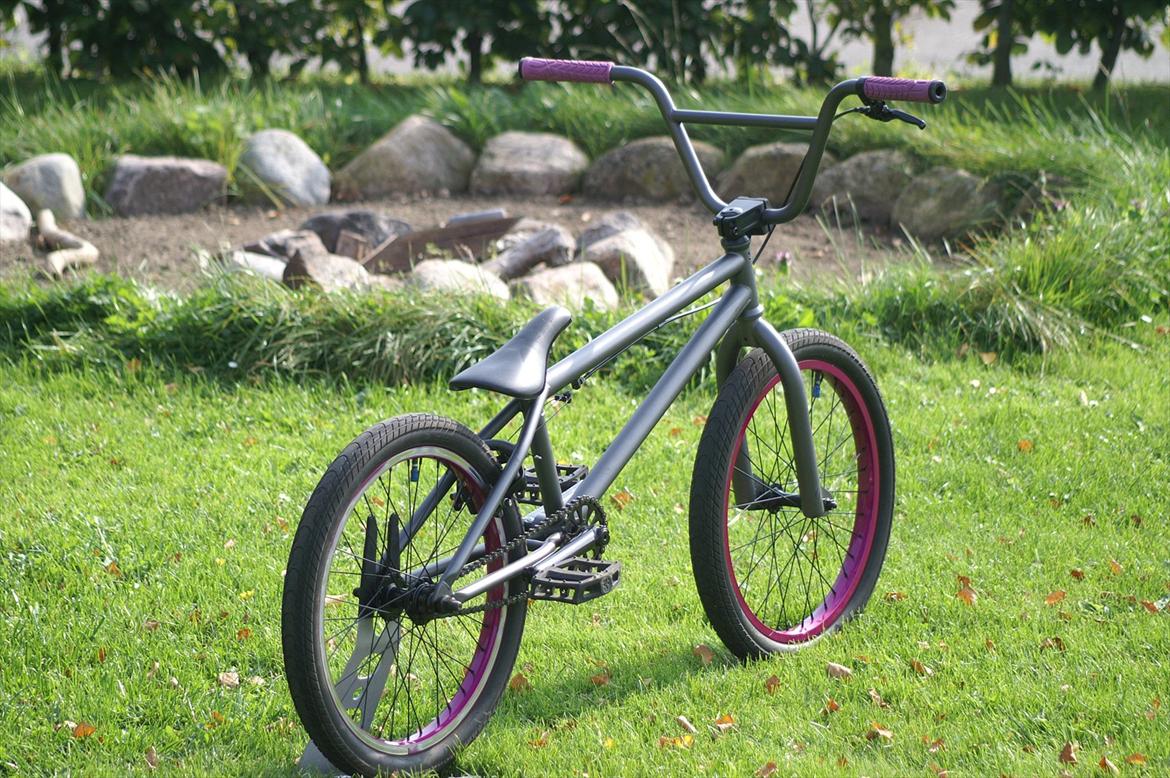 Verde Prism 2011 (Solgt) billede 2