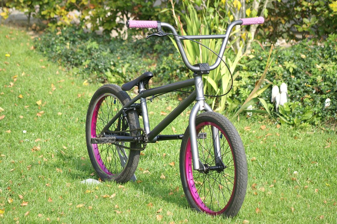 Verde Prism 2011 (Solgt) billede 3