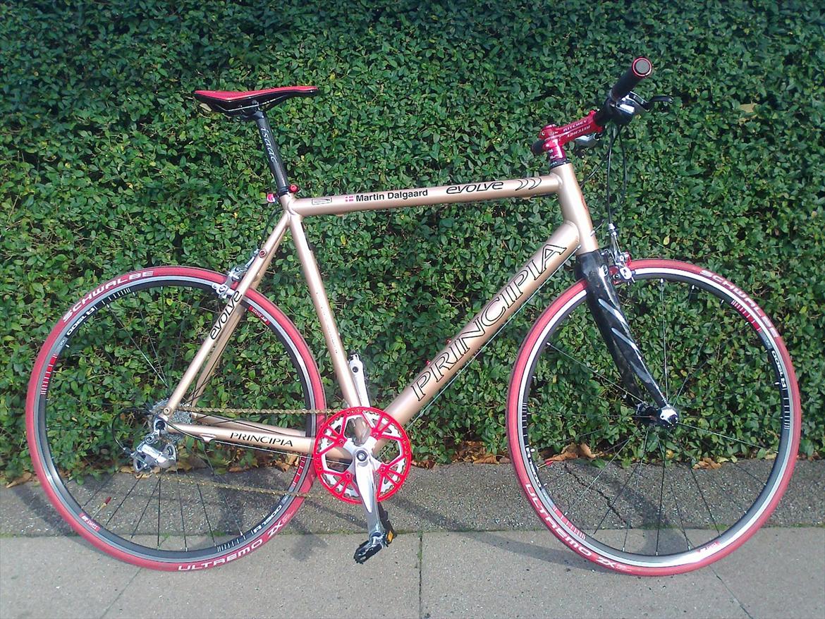 Principia Evolve Disk Gold billede 1
