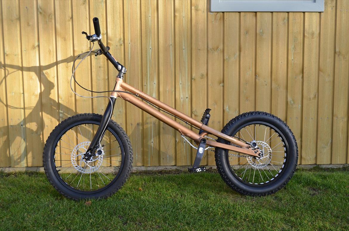 Rockman Björn billede 1