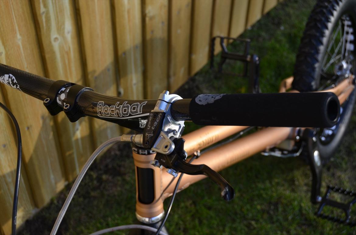 Rockman Björn billede 5