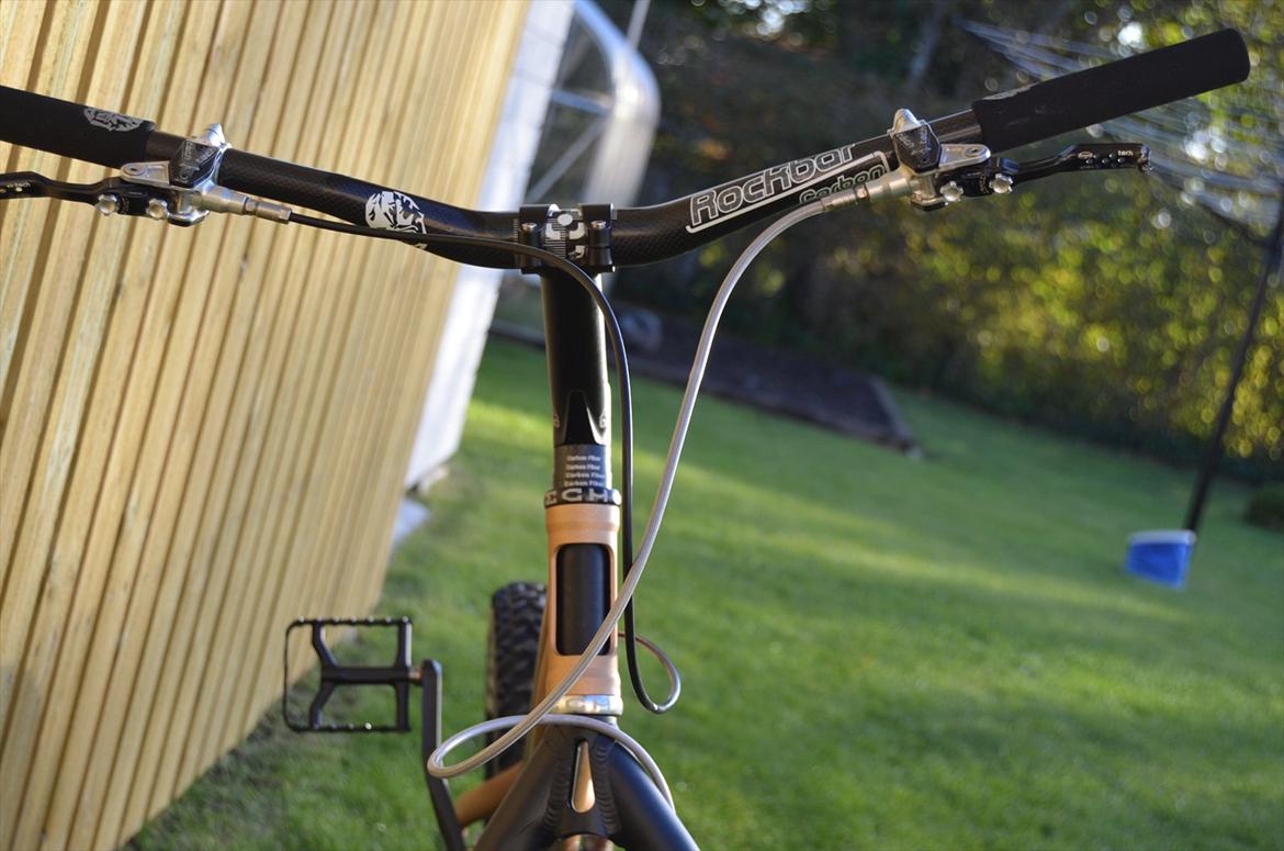 Rockman Björn billede 6