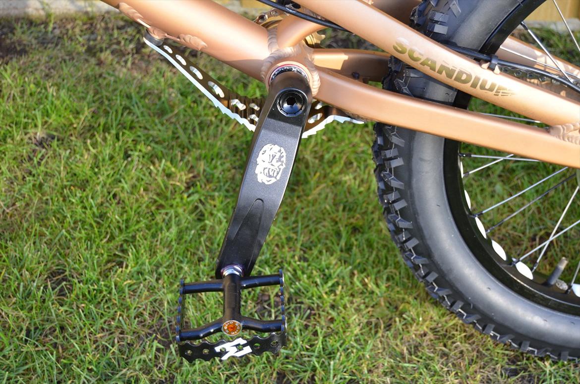 Rockman Björn billede 7