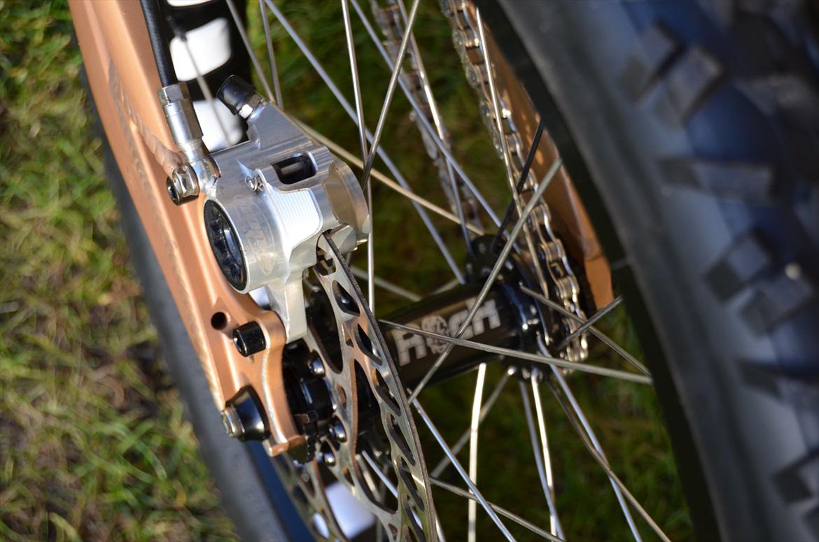 Rockman Björn billede 9