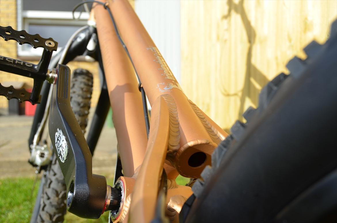 Rockman Björn billede 18