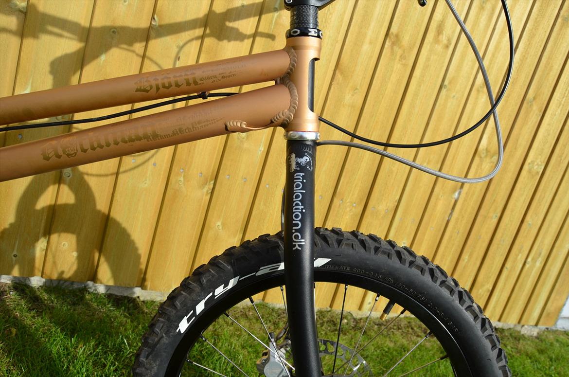 Rockman Björn billede 20