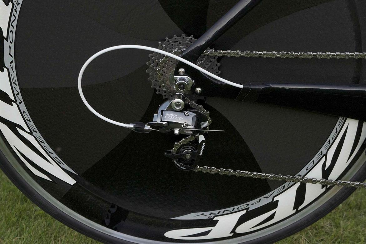 Quintana Roo Roo billede 2