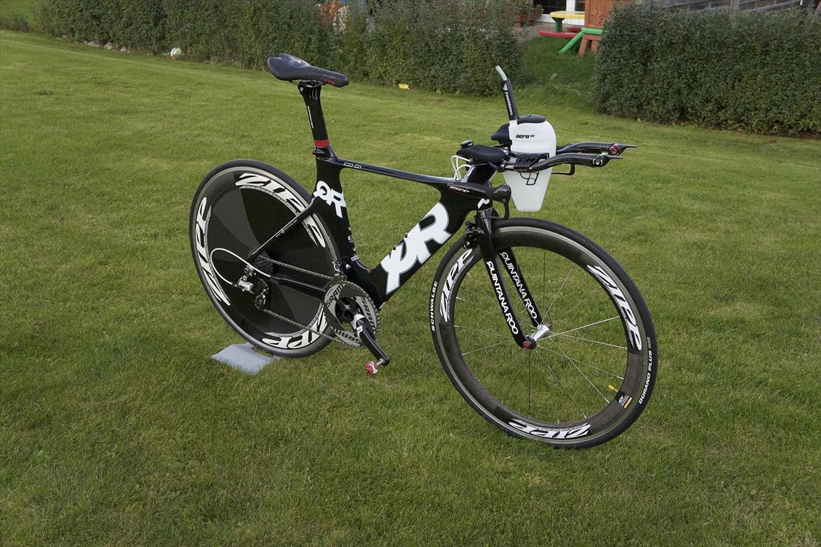 Quintana Roo Roo billede 4