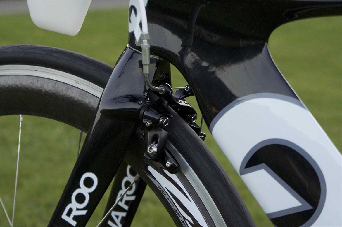 Quintana Roo Roo billede 11