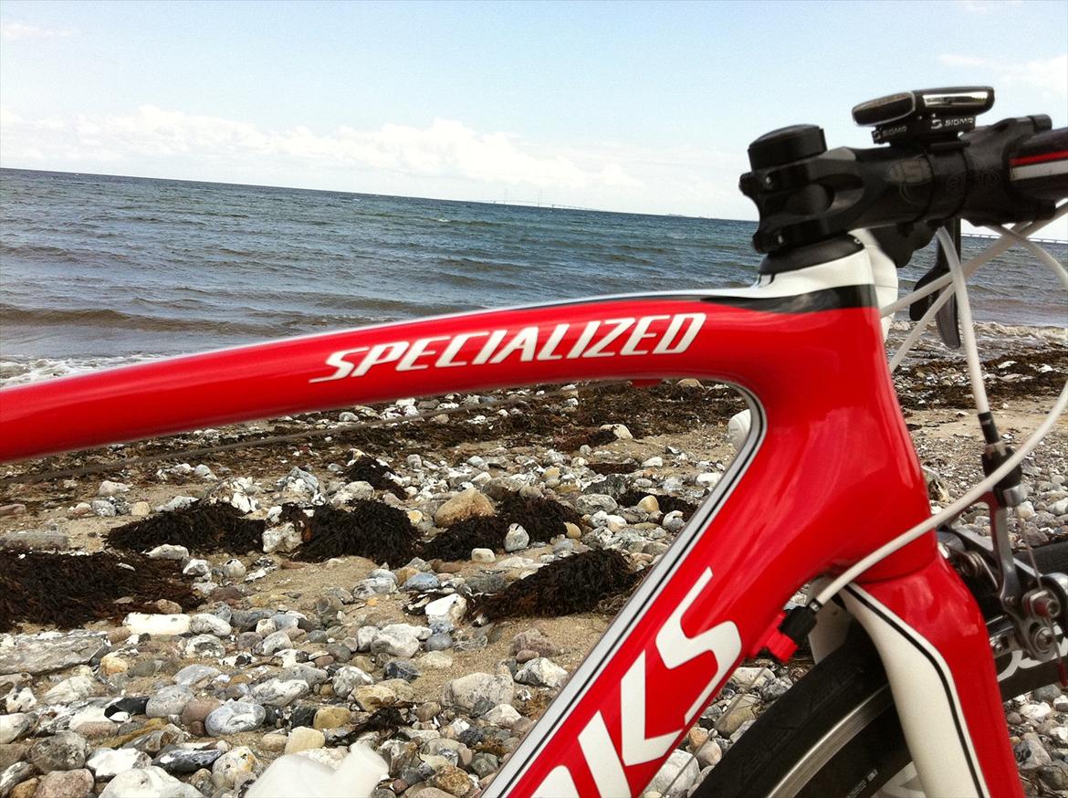 Specialized sl3  billede 10