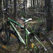 Trek 3700 disc 2012- Grøn