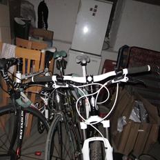 Bianchi KUMA 5500